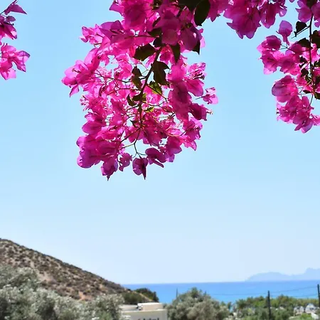 Hotel Porto Galini 2*